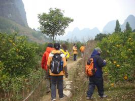 Hiking Through Orchard in Yangshuo